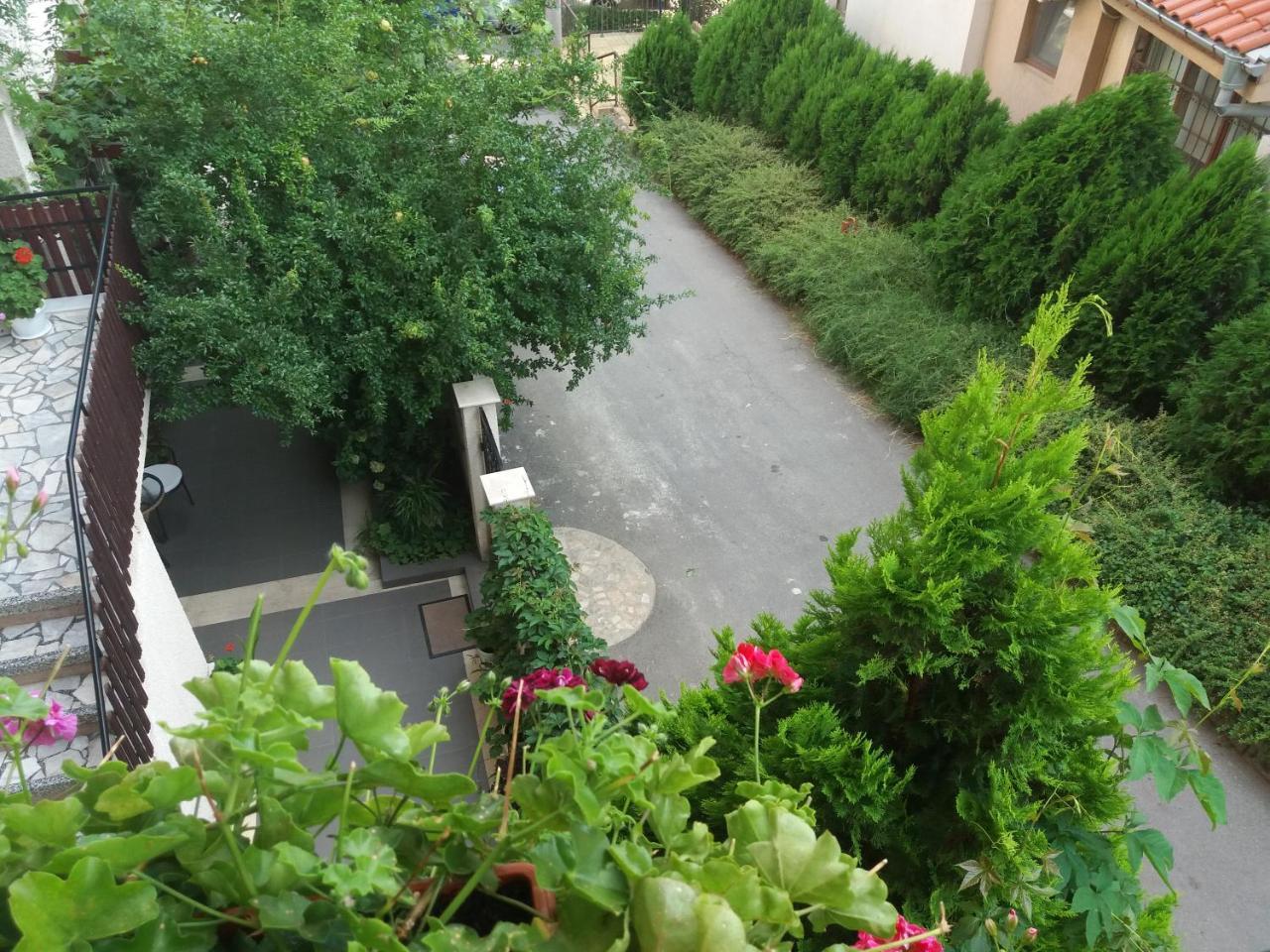 Villa Rosi Созополь Екстер'єр фото